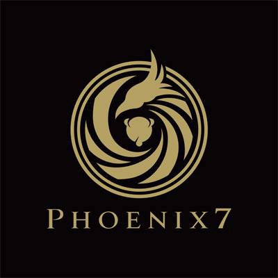 Phoenix 7电子游戏接口API开户